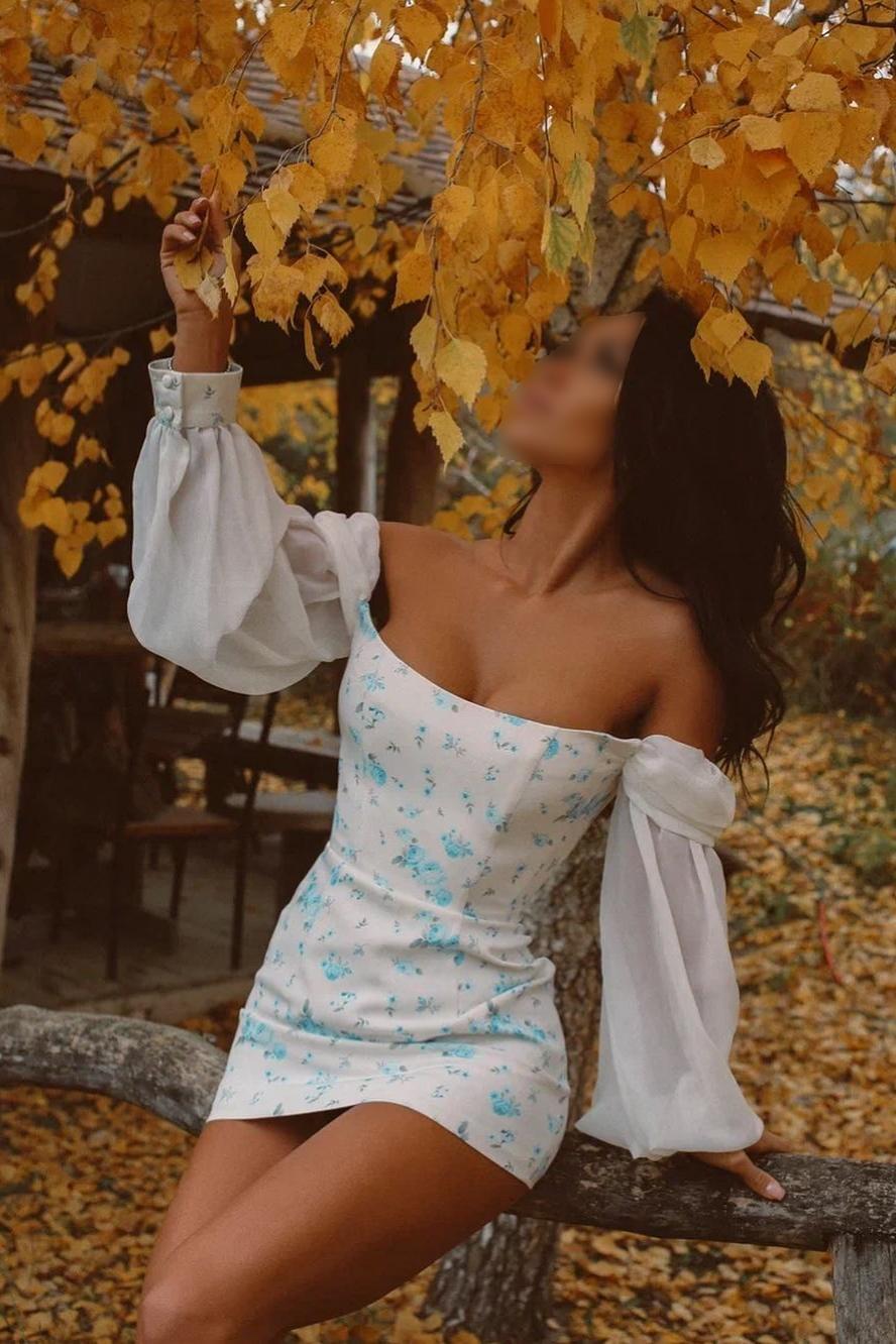 Шлюха Питера Алена +7(911)263-24-68 метро Пушкинская